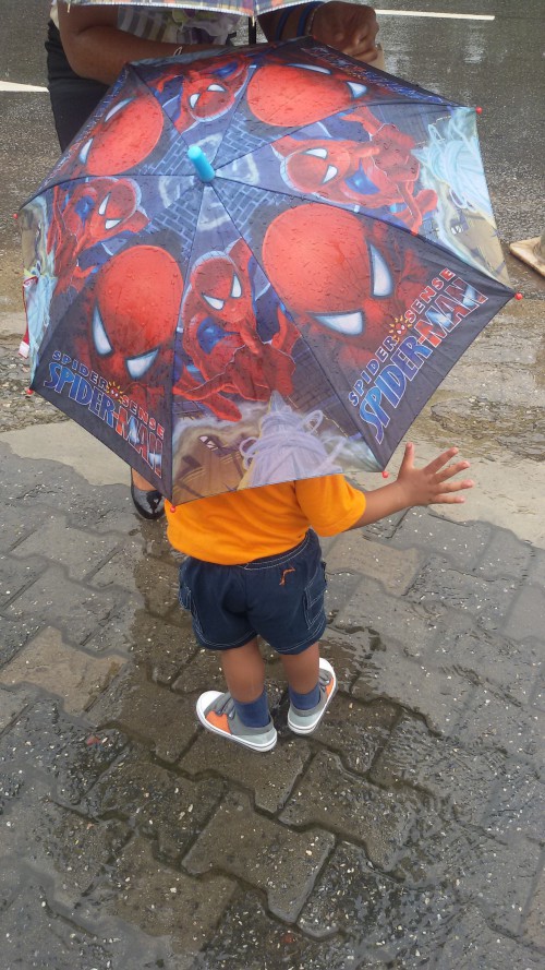 Alvin & His Spiderman Umbrella